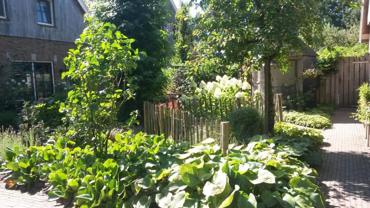 B&B Erve Moeskert Geesteren  Buitenkant foto