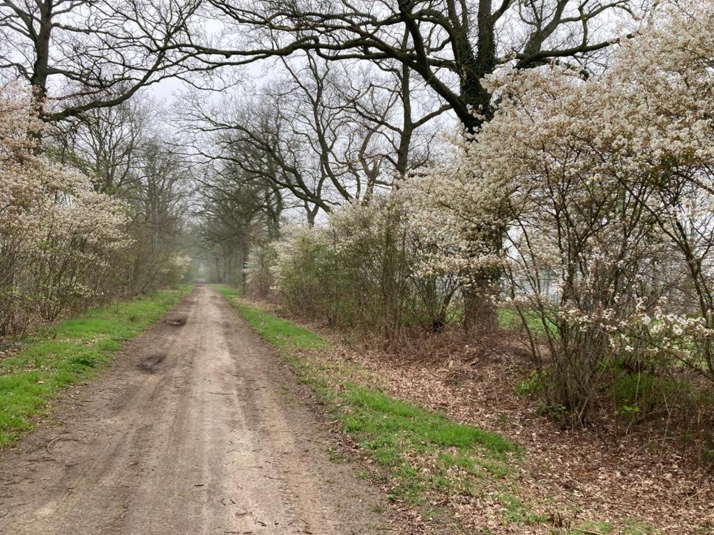 B&B Erve Moeskert Geesteren  Buitenkant foto