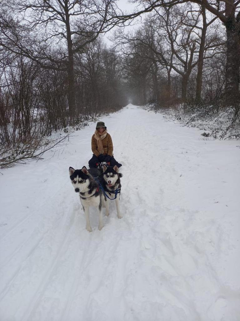 B&B Erve Moeskert Geesteren  Buitenkant foto