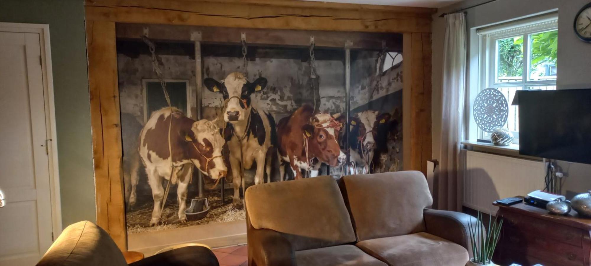 B&B Erve Moeskert Geesteren  Buitenkant foto