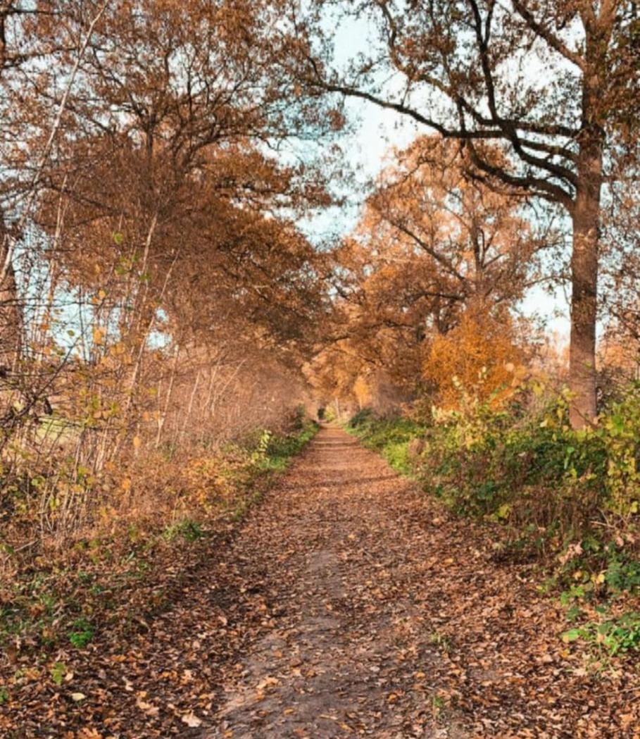 B&B Erve Moeskert Geesteren  Buitenkant foto