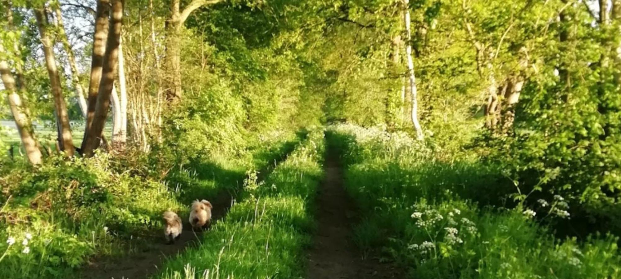 B&B Erve Moeskert Geesteren  Buitenkant foto