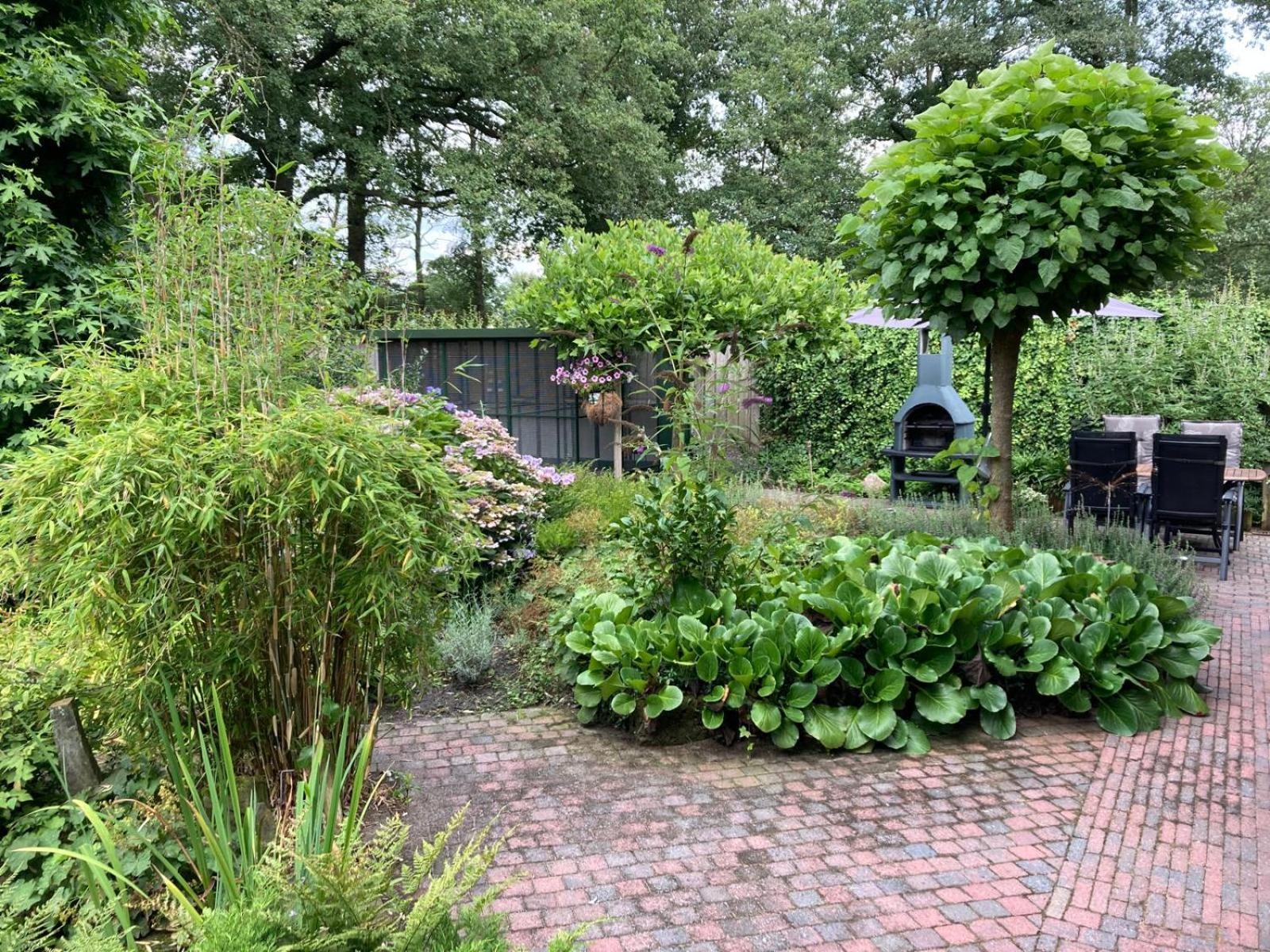 B&B Erve Moeskert Geesteren  Buitenkant foto
